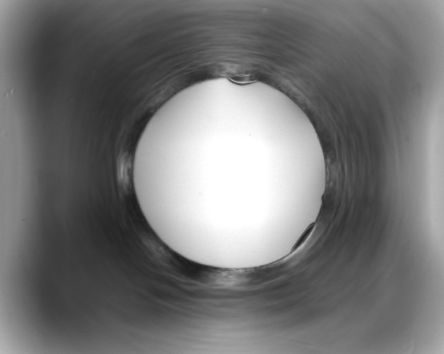 X0000088090094200706081759