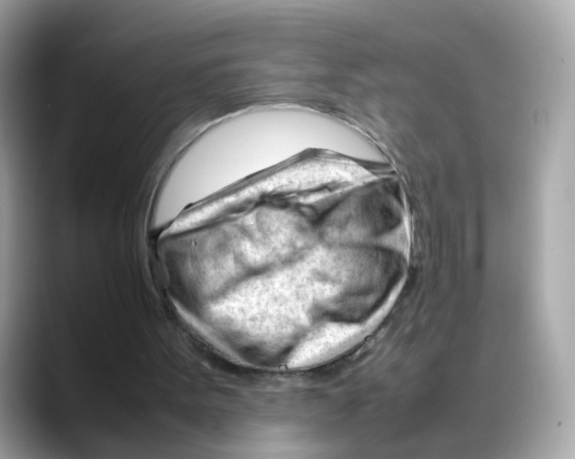 X0000088090099200706081758
