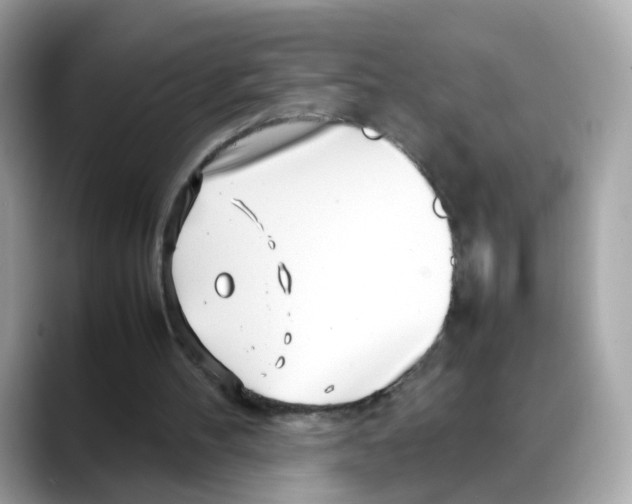 X0000088090100200706081758
