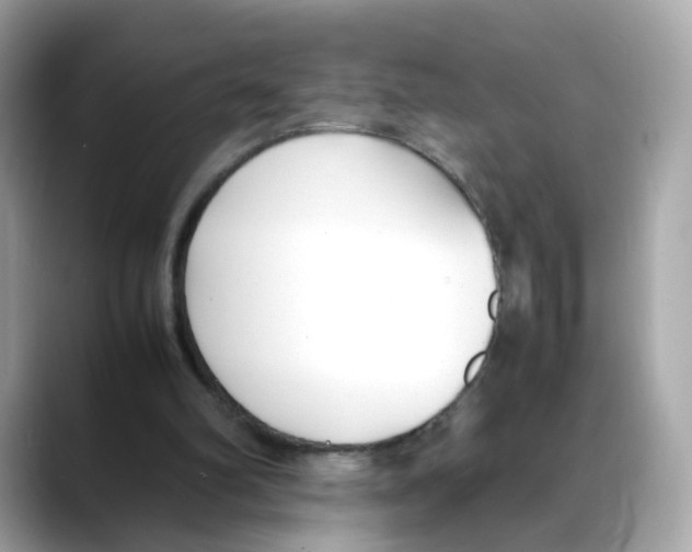 X0000088090102200706081758