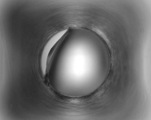 X0000088090105200706081758