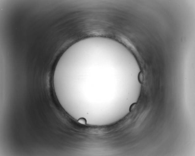 X0000088090106200706081758