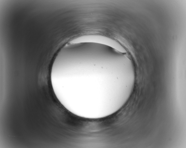 X0000088090107200706081758