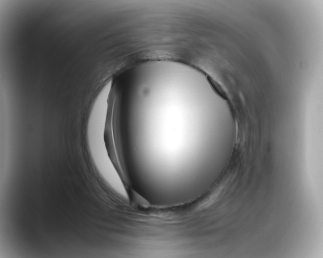 X0000088090109200706081758