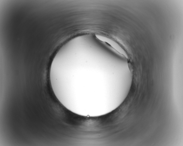 X0000088090111200706081758