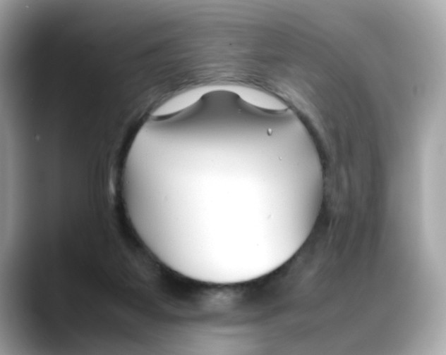 X0000088090115200706081758