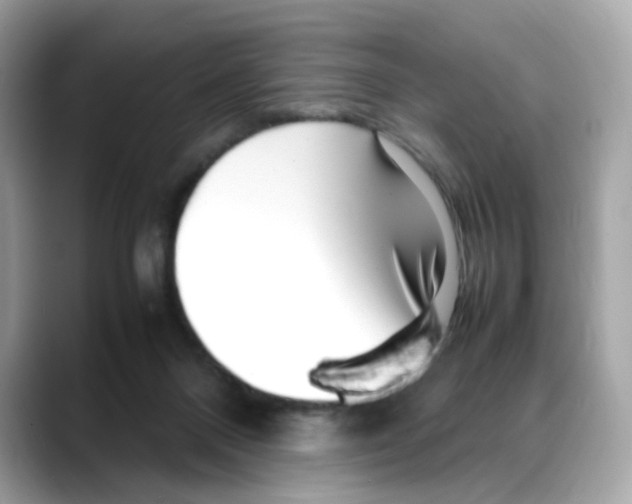 X0000088090120200706081758
