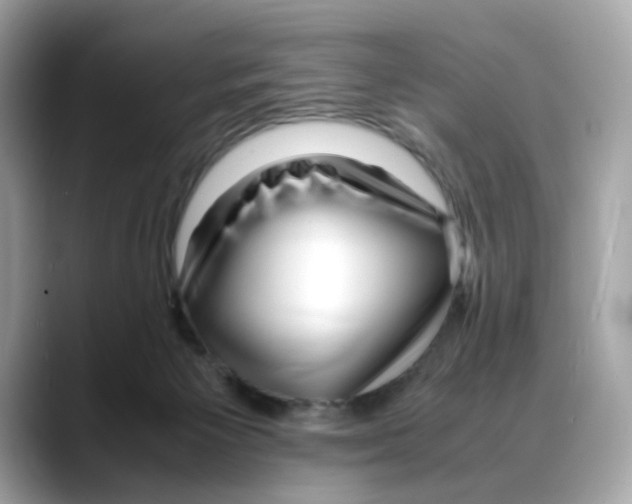 X0000088090125200706081758