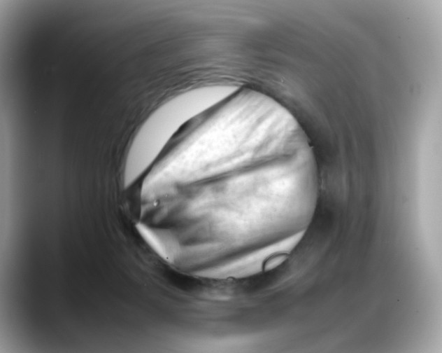 X0000088090127200706081758
