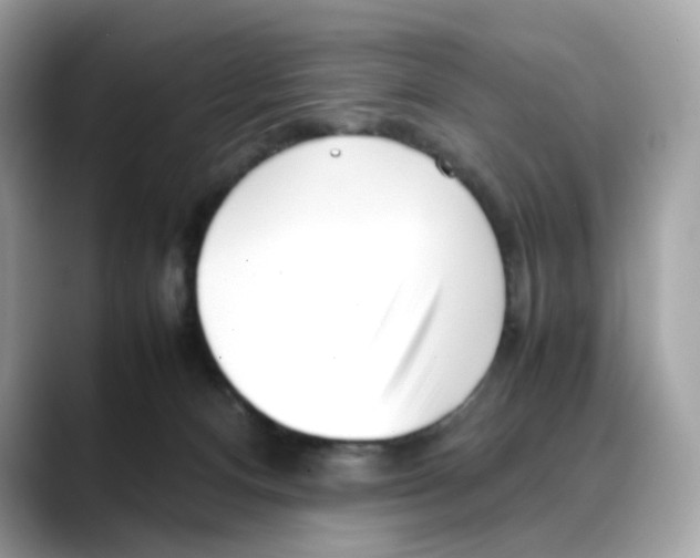 X0000088090128200706081758