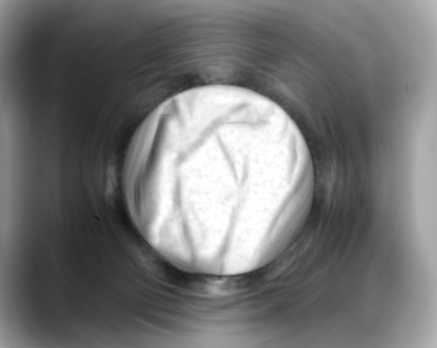 X0000088090130200706081758