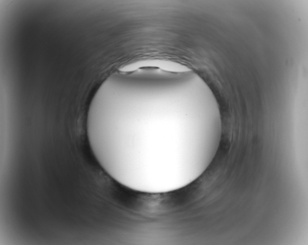 X0000088090131200706081758
