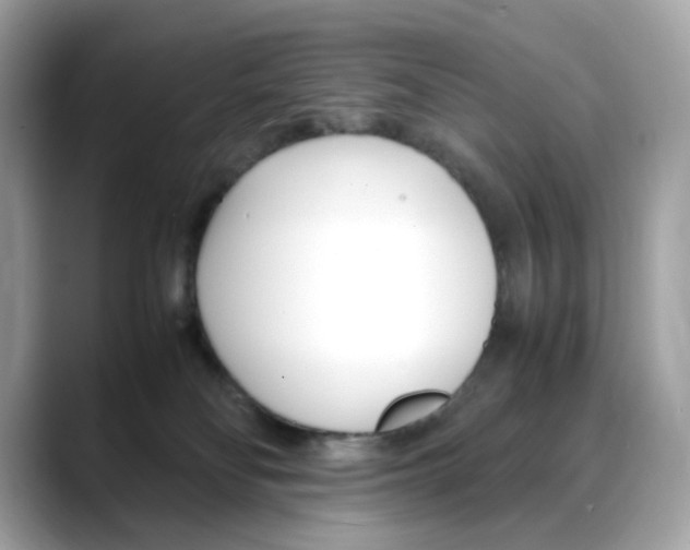 X0000088090134200706081757