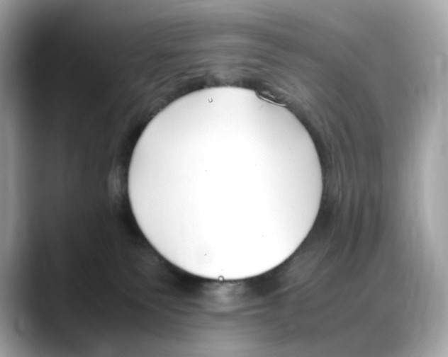 X0000088090135200706081757