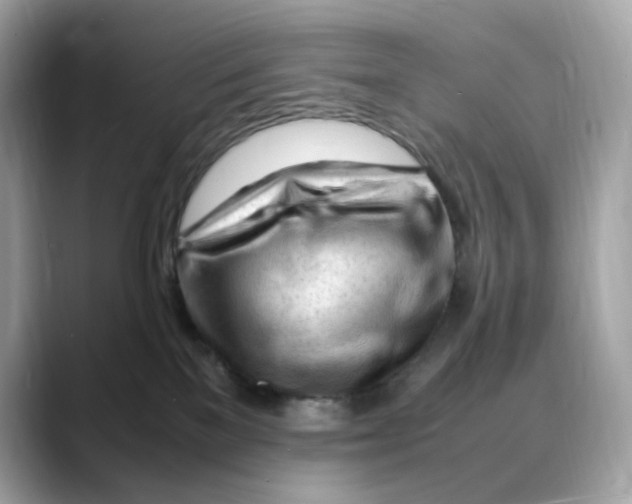 X0000088090137200706081757