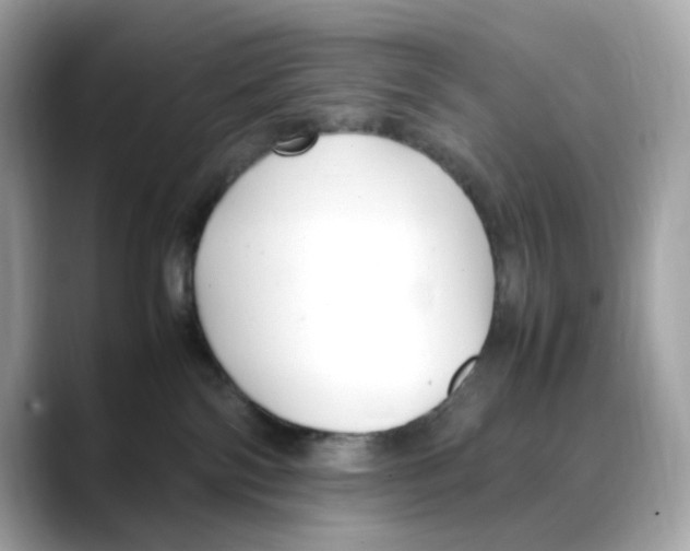 X0000088090138200706081757