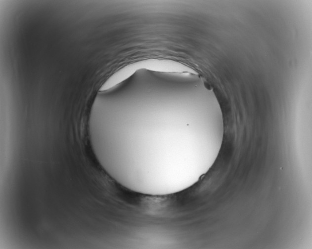 X0000088090139200706081757