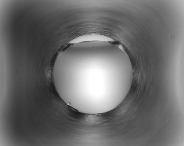 X0000088090141200706081757