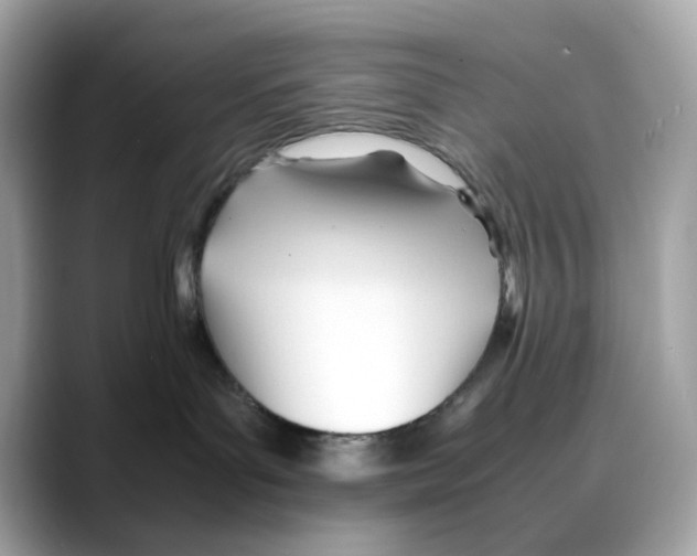 X0000088090143200706081757