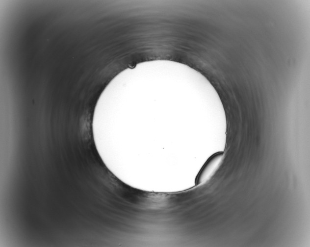 X0000088090144200706081757