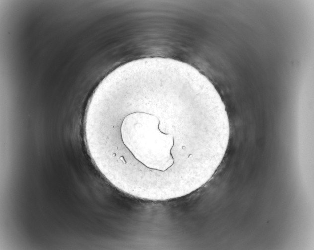 X0000088090146200706081757