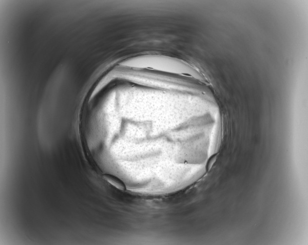 X0000088090147200706081757