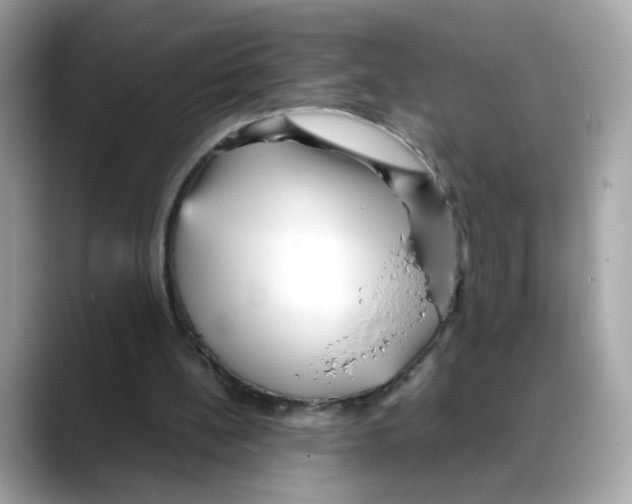 X0000088090148200706081757