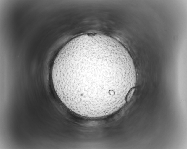 X0000088090149200706081757
