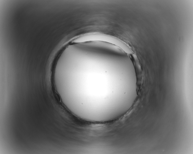 X0000088090150200706081757
