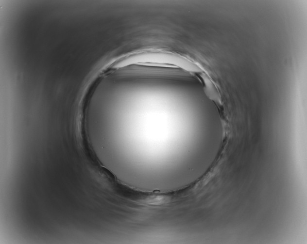 X0000088090152200706081757