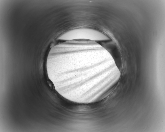 X0000088090154200706081757