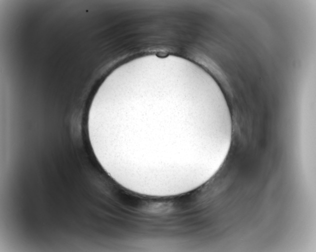 X0000088090155200706081757