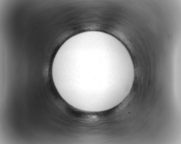 X0000088090159200706081757