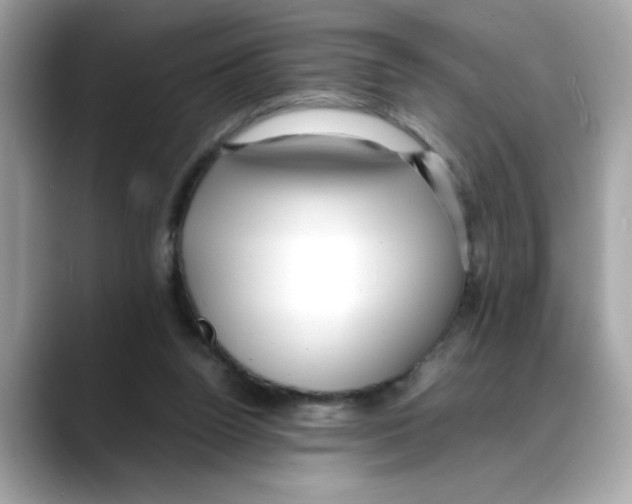 X0000088090160200706081757