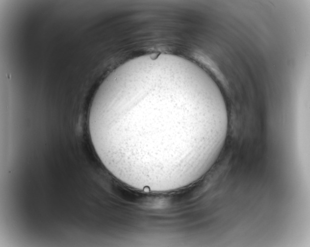 X0000088090161200706081757