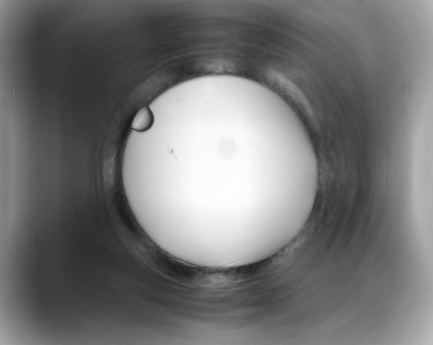 X0000088090163200706081757