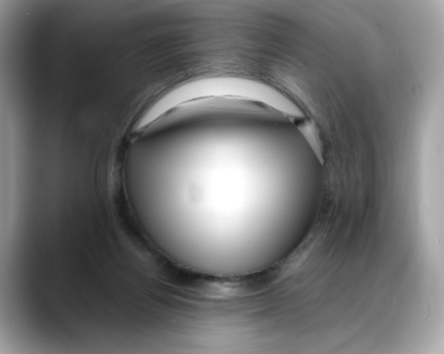 X0000088090164200706081757