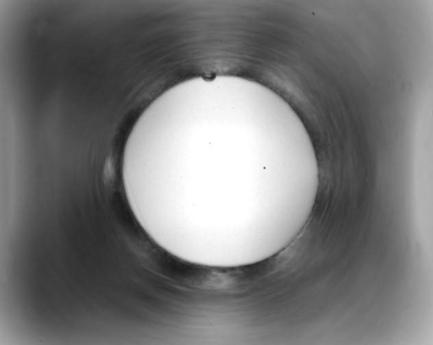 X0000088090166200706081757