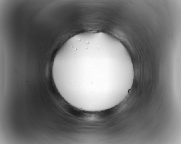 X0000088090167200706081757