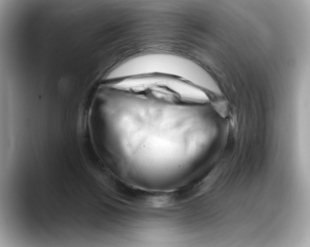 X0000088090168200706081757