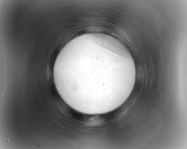 X0000088090173200706081757