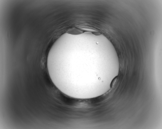 X0000088090175200706081757