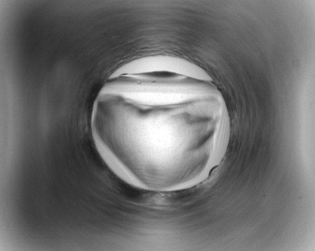 X0000088090182200706081757
