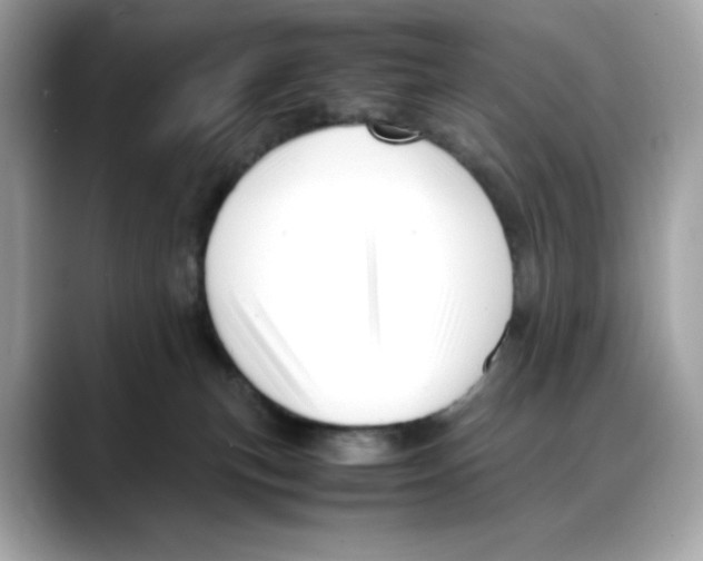 X0000088090183200706081757