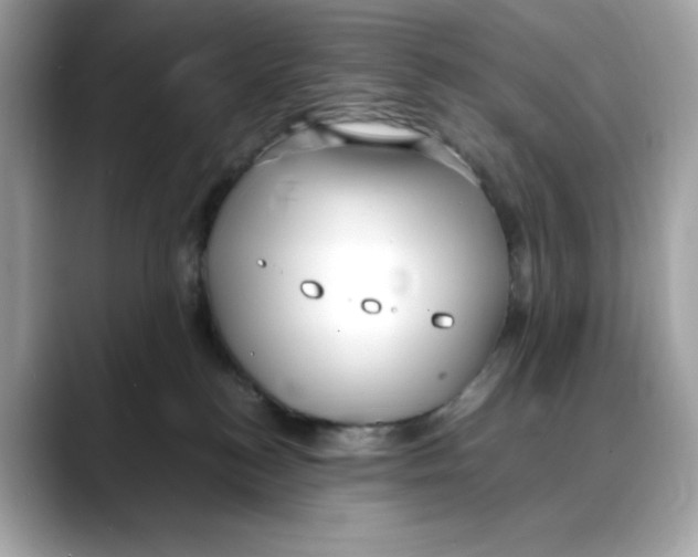 X0000088090184200706081757