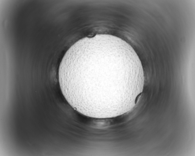 X0000088090187200706081757