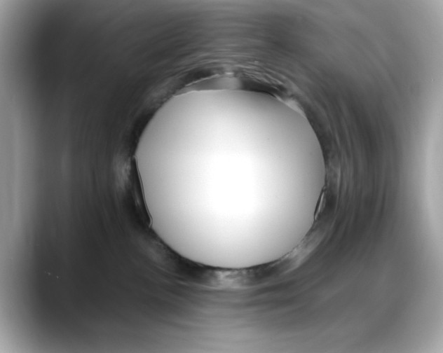X0000088090188200706081757