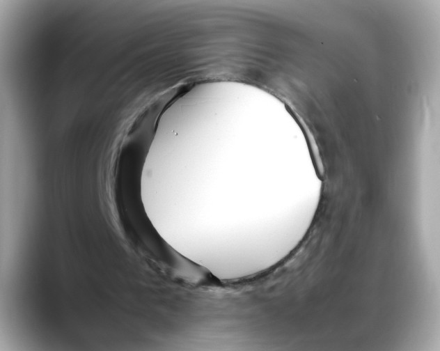 X0000088090193200706081757