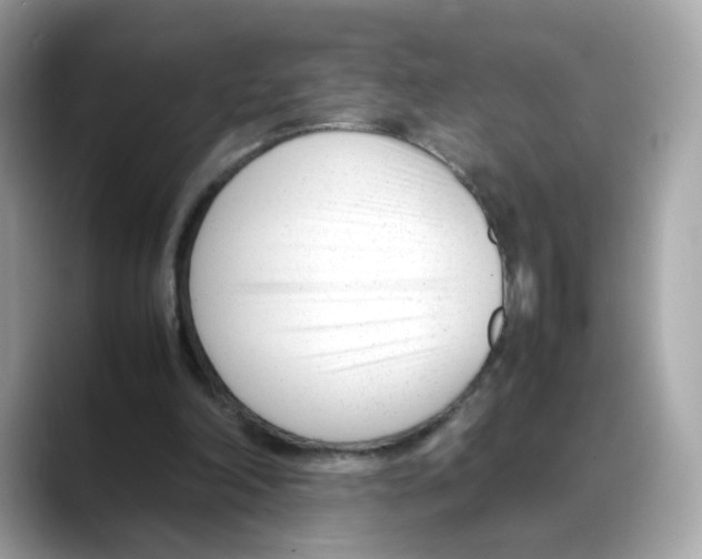 X0000088090198200706081757
