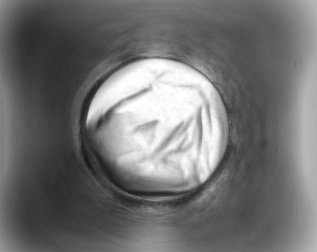 X0000088090199200706081757